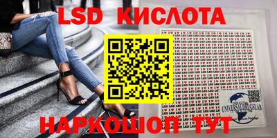 гидра Тверь