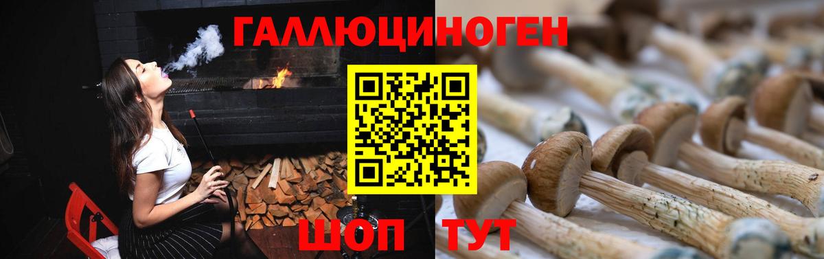 Псилоцибиновые грибы Psilocybine cubensis  Вход с VPN  Ртищево  Галлюциногенные грибы прущие грибы 